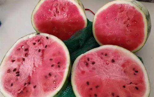 用勺子吃麒麟瓜视频,麒麟瓜美味瞬间绽放