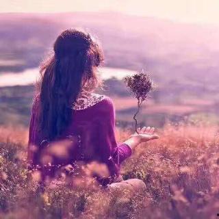 伤感的吃瓜视频素材,泪目！吃瓜群众见证的感人瞬间