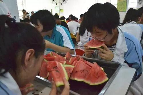 吃瓜群众午间分享会视频,揭秘热门视频背后的故事