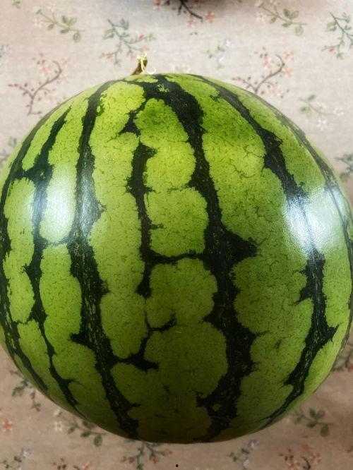 优雅吃瓜表演视频,优雅吃瓜表演视频大盘点