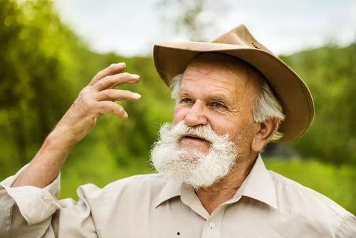 老人拄拐吃瓜视频,温馨一幕引网友共鸣