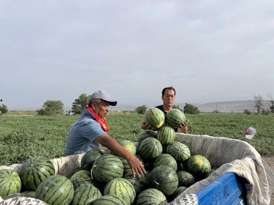 湖北人边走边吃瓜视频,边走边吃瓜，传统小吃文化新演绎