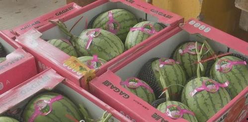 吃瓜福利干货视频,视频带你轻松解锁美食世界