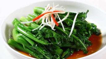 燕子吃芥末瓜会死吗视频,揭秘鸟类致命诱惑