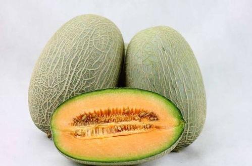 猴王吃哈密瓜视频大全播放