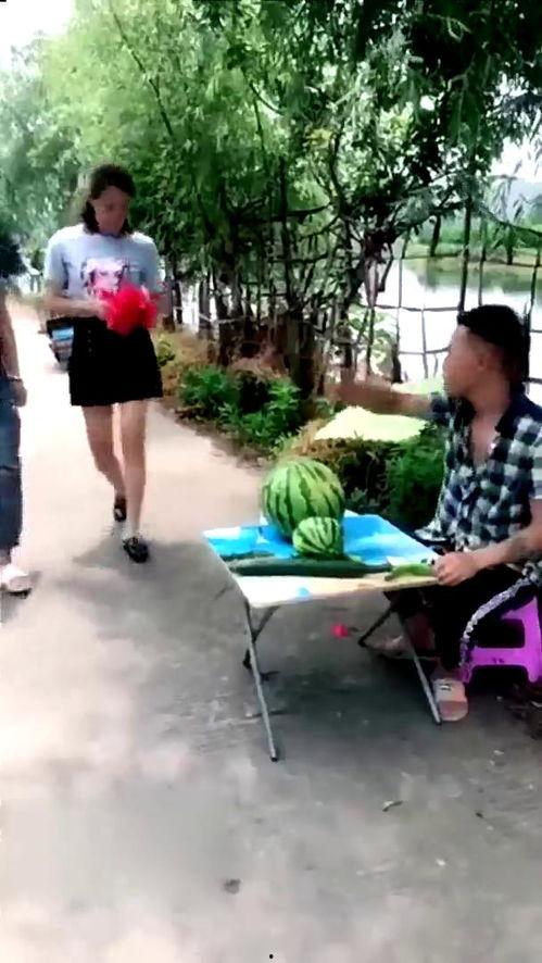 肇庆农校吃瓜事件视频,校园风波背后的真相揭晓